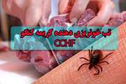  تاکنون بیماری تب کریمه کنگو در استان همدان مشاهده یا گزارش نشده است اما مردم توصیه های دامپزشکی را جدی بگیرند